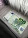 Безворсовий килим на гумовій основі "Euro" MM02, 5/10 - магазин килимів Decomo